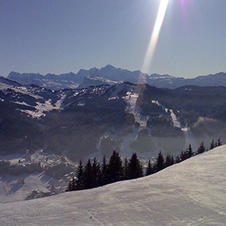 Les Gets Le Grand Paradis Luaran gambar
